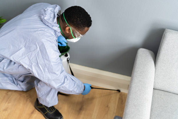 Best Bed Bug Extermination  in Indian Hills, TX